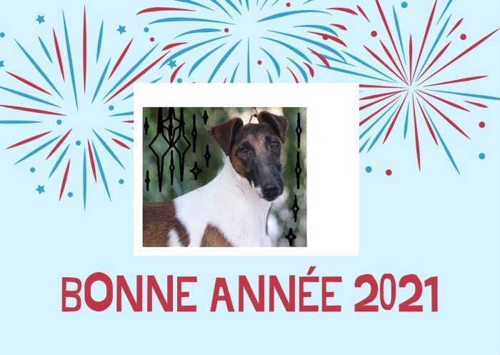 Du parc des vaux - Bonnes Fêtes de Fin d'Année & Meilleurs Voeux 2021.