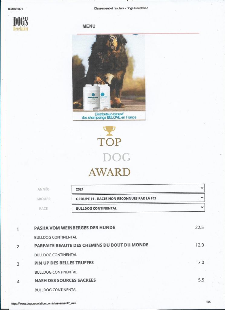 INFORMATION TOP DOGS AWARDS DOGS REVELATION